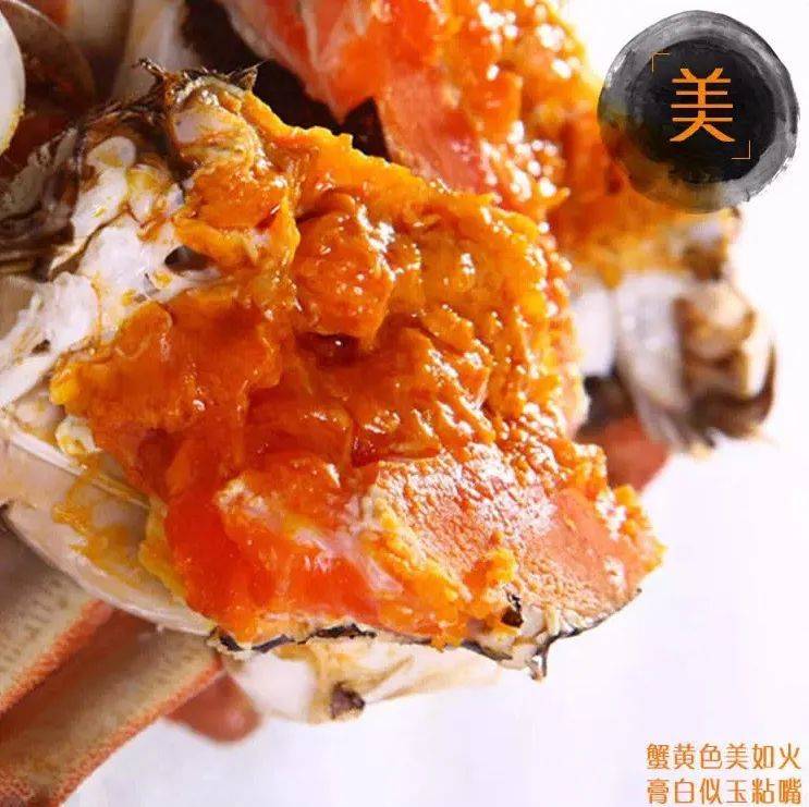 刚出湖边,又上舌尖的大闸蟹,狮城的你想吃大闸蟹?安排