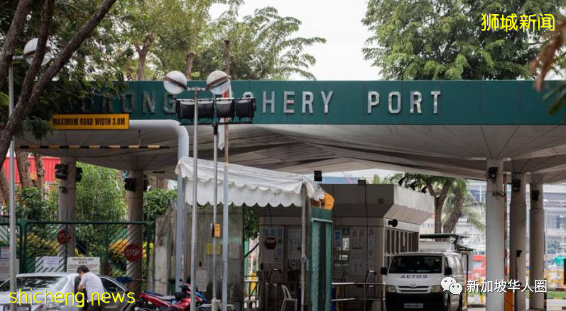 新加坡为何退回第二阶段,真正原因竟然是