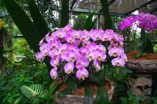 新加坡開放簽證！免隔離！這些小衆景點不可錯過