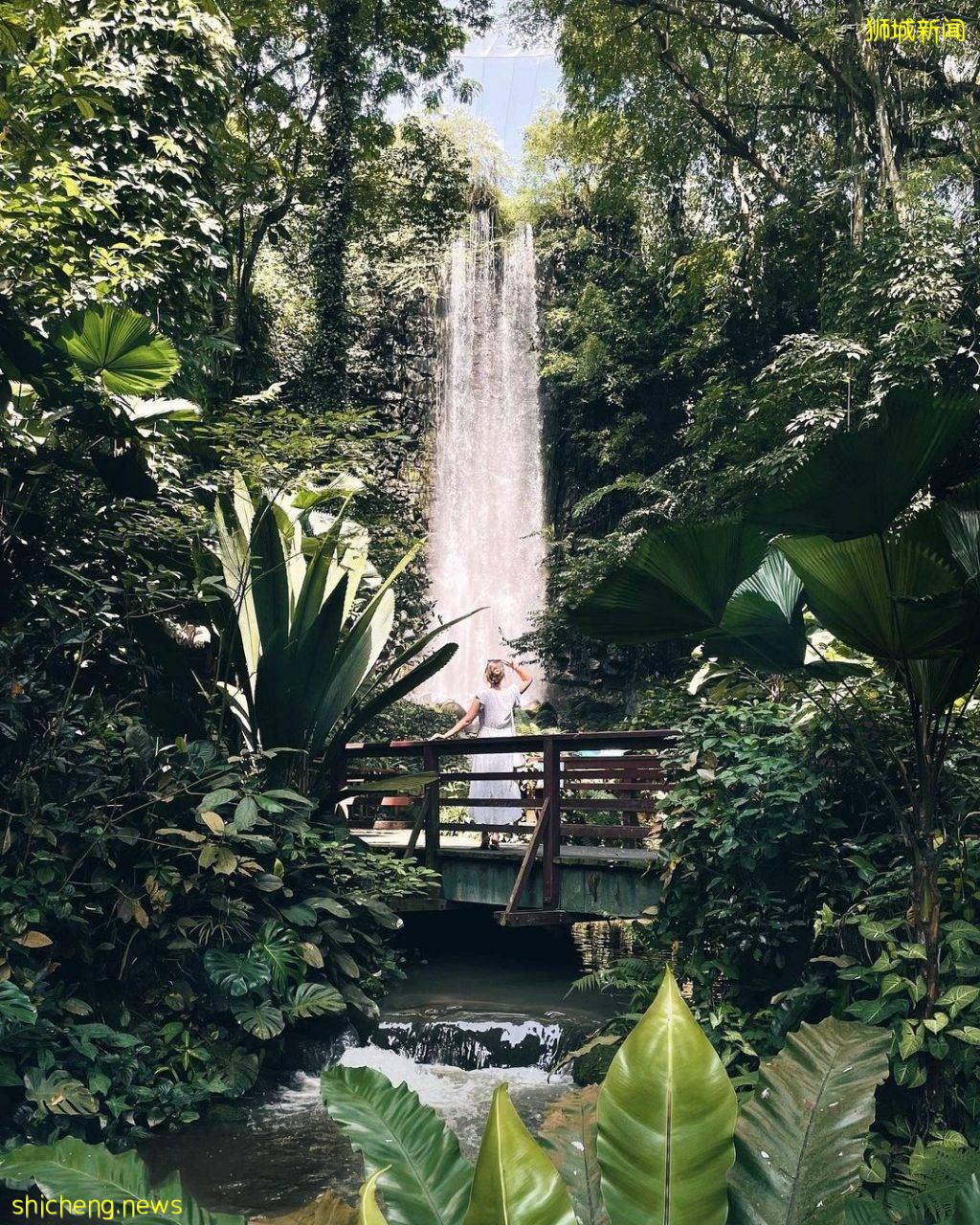 7月份吃喝玩乐攻略😎 夜间展出+经典炸鸡本月回归!户外休闲活动门票超低价🔥