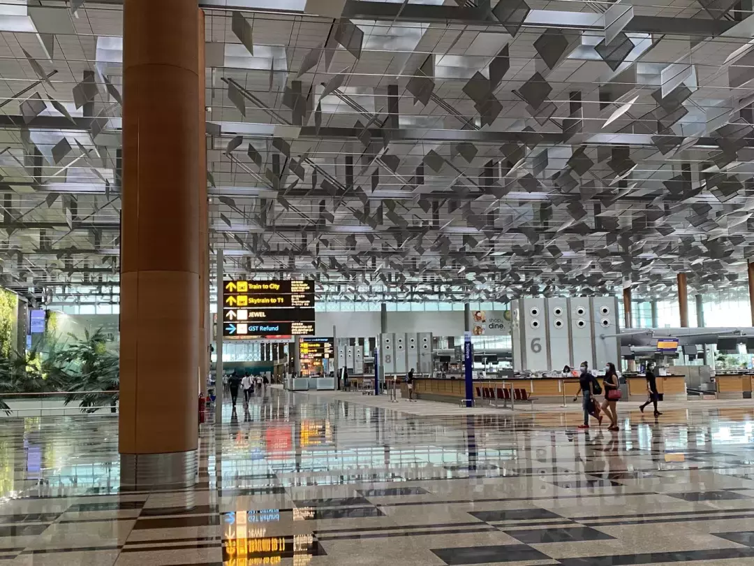 親身經曆：奧密克戎來勢洶洶，我從中國溜到了新加坡