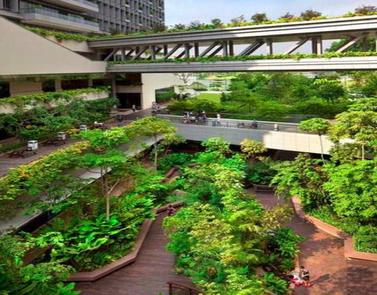 新加坡醫療：世界領先爲何故