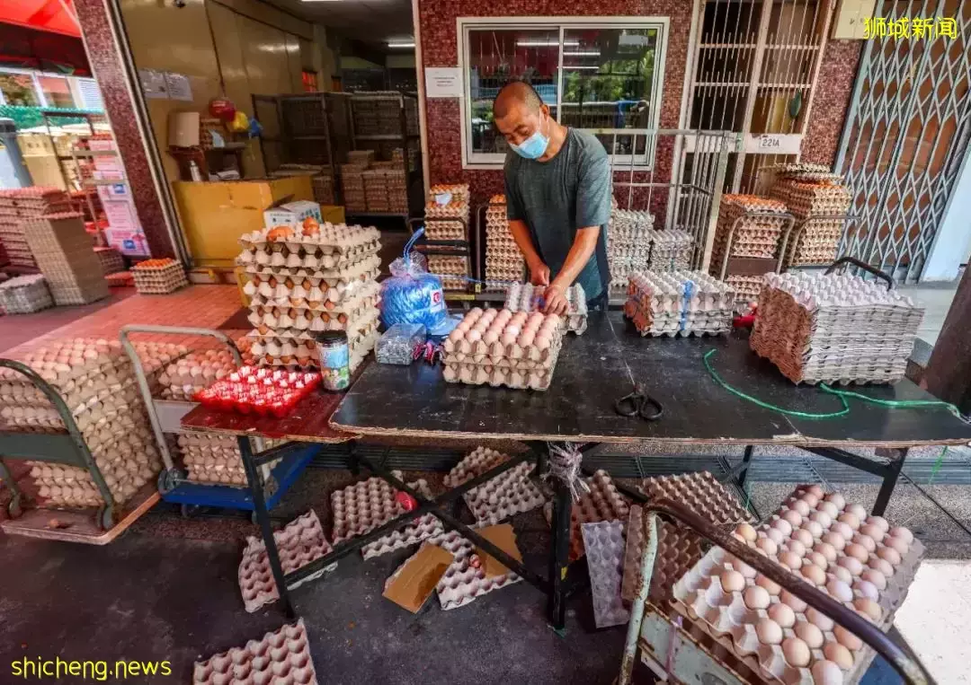 陽光、美食、大自然!新加坡東部美食美景哪裏找