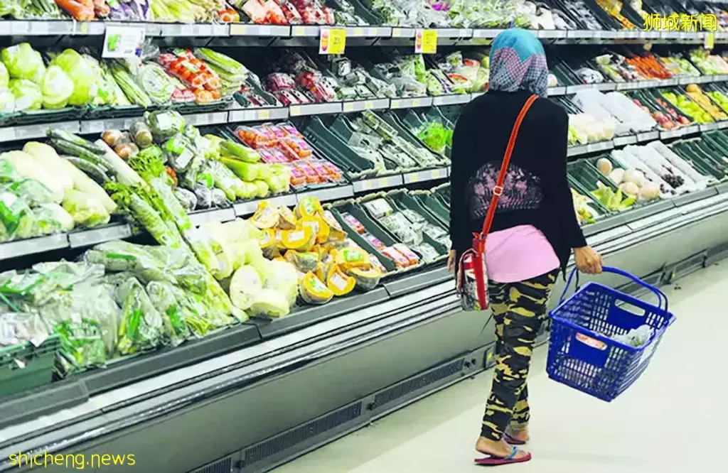 马来西亚恐陷人才荒！90万人来新加坡工作，政府坐不住了