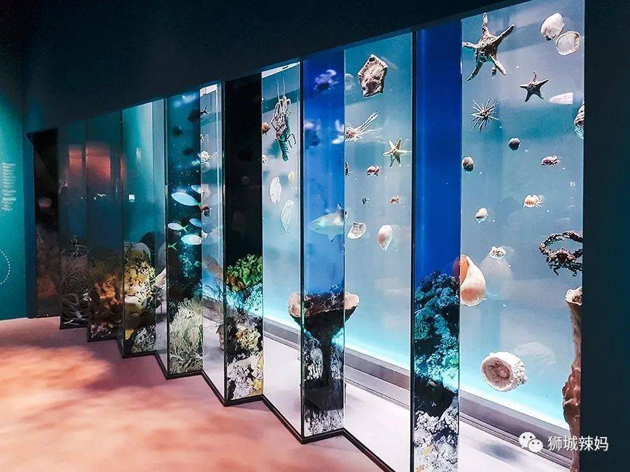 恐龍化石、抹香鯨骨架、初代巨星阿明……100W+動植物標本竟然藏在新加坡這個地方