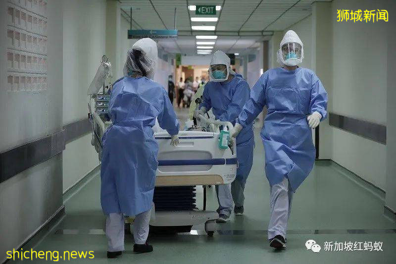 护士成为全球抢手人才 与其跟别国抢,新加坡不如自己培养