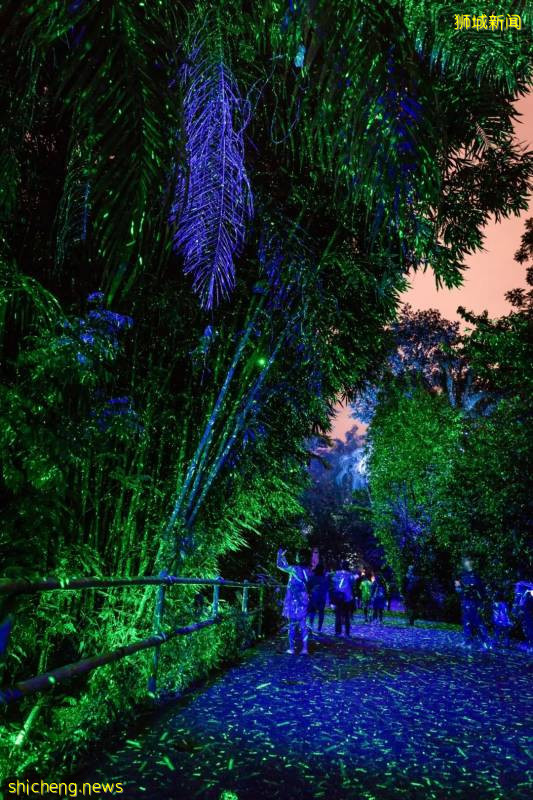 新加坡動物園沉浸式多媒體夜行體驗“RAINFOREST LUMINA”|CAAPA周末分享!