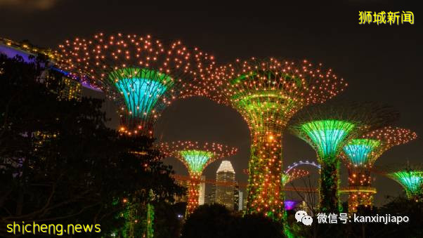 教你如何10元玩转新加坡