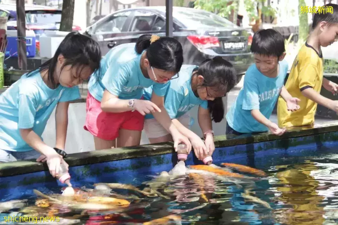 下水抓蛙、摘菜摸鱼、开土摩托……我带娃体验了一把新加坡的农家乐