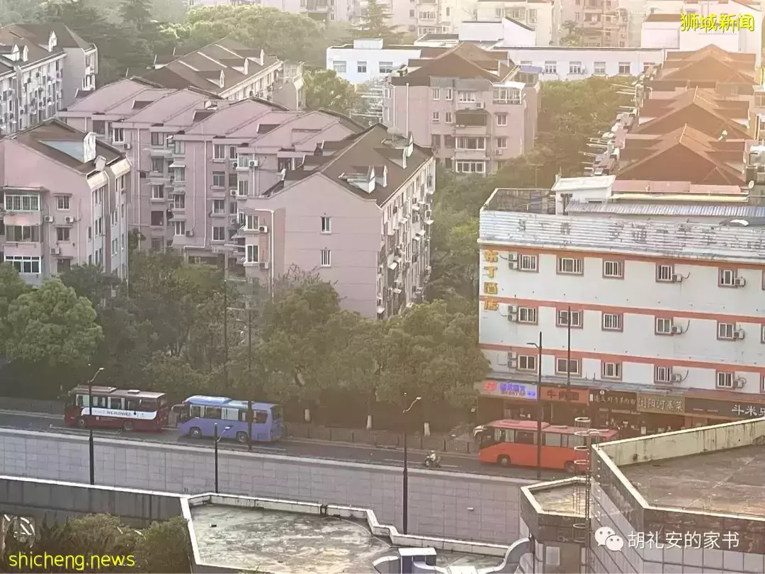 “从新加坡回到上海,封锁一再延长,我被卷入了这场前所未有的大事件”