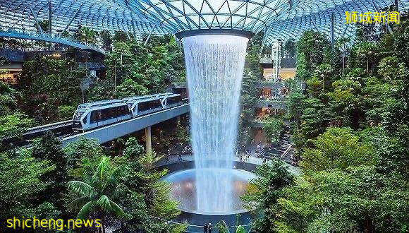 新加坡是什么味的?带你了解属于新加坡的气味