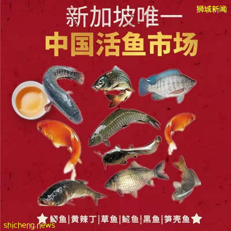 新加坡再次解封後，這家中國超市火了！80多種海鮮$2起！小龍蝦辣條包點東北大米扛回家