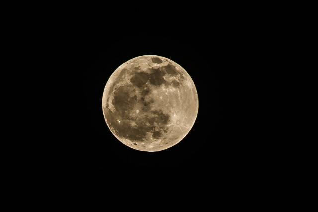 滨海湾中秋灯会如期而至，今年别样美