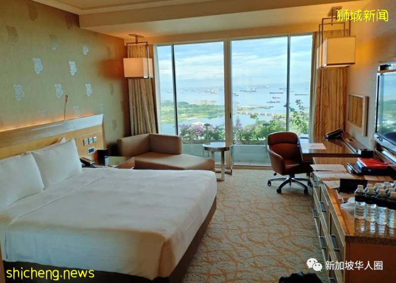 回新加坡后网友感叹,3个月手停口停,没中病毒,先饿死了