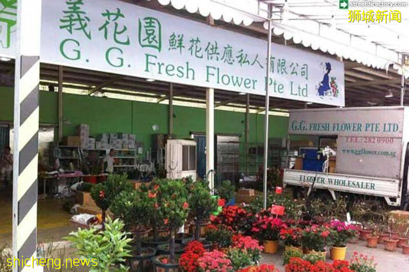 除了超市，原來新加坡還能在這些地方買到鮮花