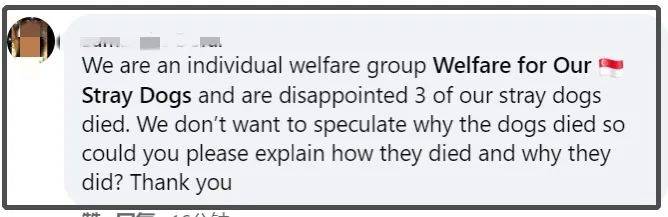 昨晚,新加坡三巴旺財神廟發生了大火,慘不忍睹