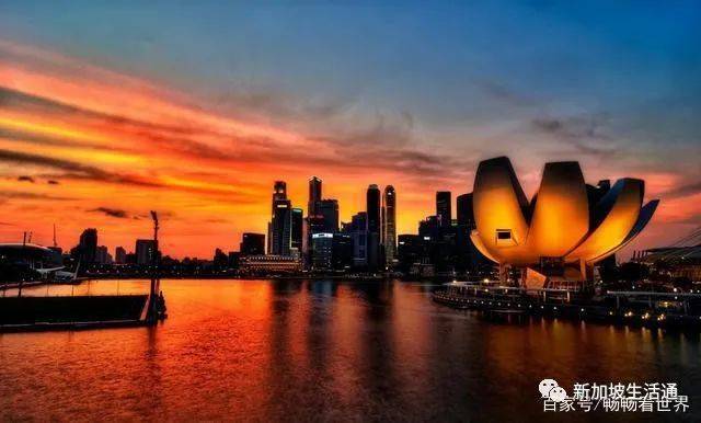 曾經“不起眼”的新加坡，如今爲何成爲“高大上”的代名詞