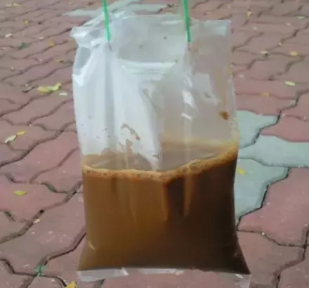 新加坡留学:你一定要知道的本地风俗和常识