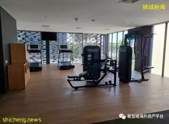 如何不付ABSD投資第二套房