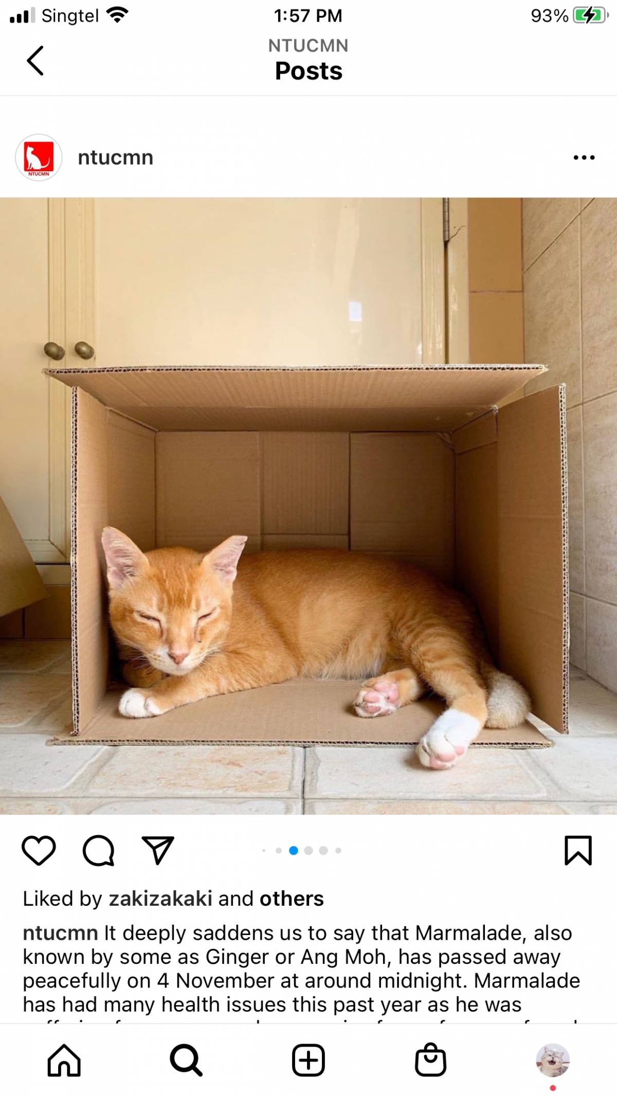 南洋理工大學，每一幀都很美