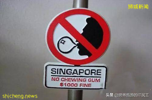 發達國家新加坡，有哪些令人奇怪的規定