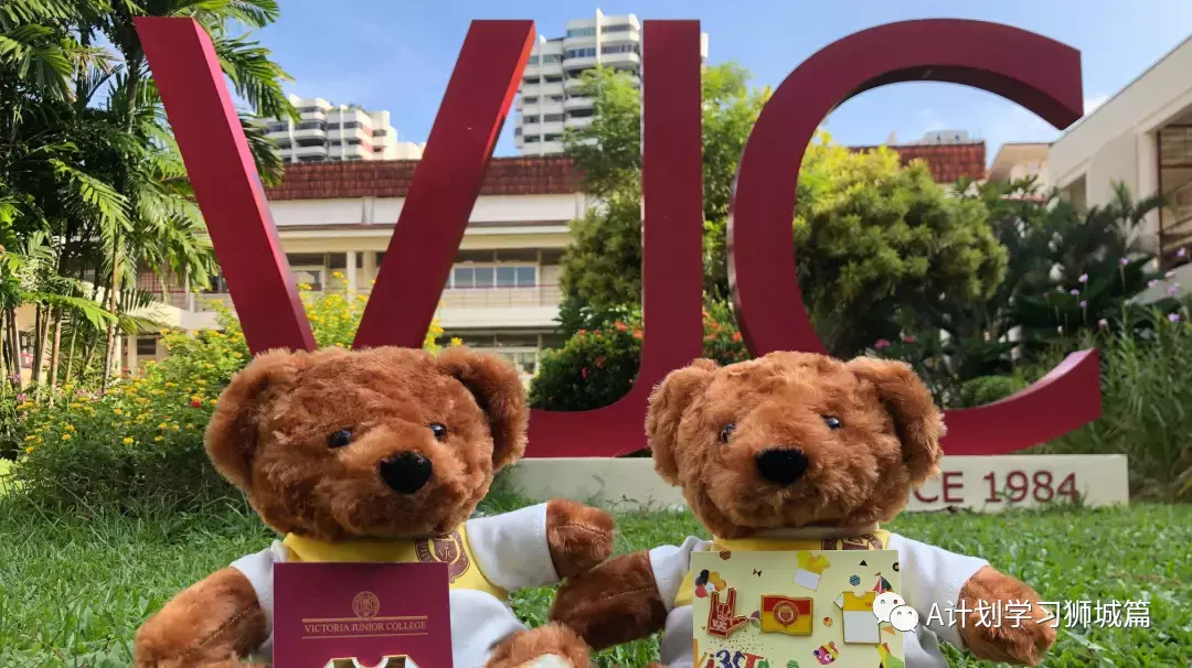 新加坡各初院申请明天开始,汇总近几年初院O考录取截分点及A/IB成绩,供报读的学生参考