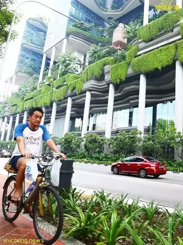 天气太热，新加坡开展“冷却新加坡计划”