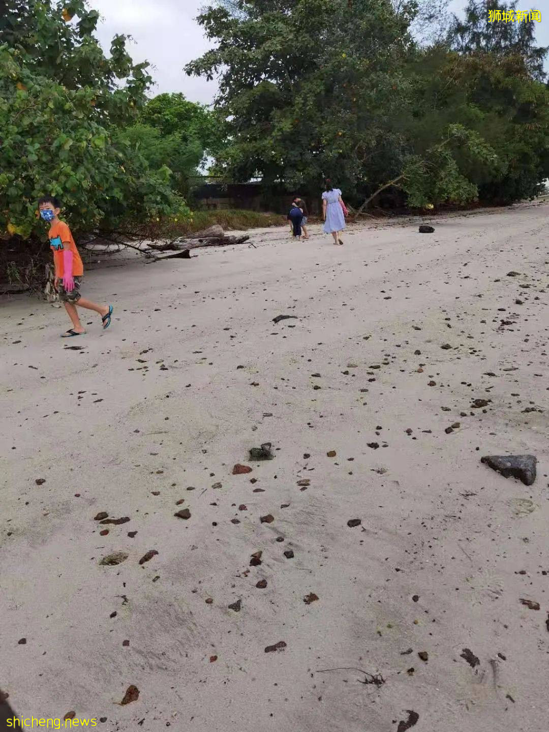 “我的两个儿子,就爱在新加坡捡垃圾!”