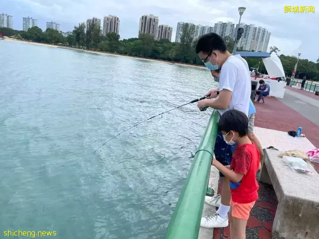 新加坡这个地方好神奇,新手钓鱼也能满载而归