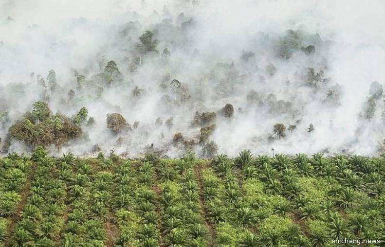 印尼非法“烧芭”，烟霾可恶化冠病疫情！恐连累邻国新加坡