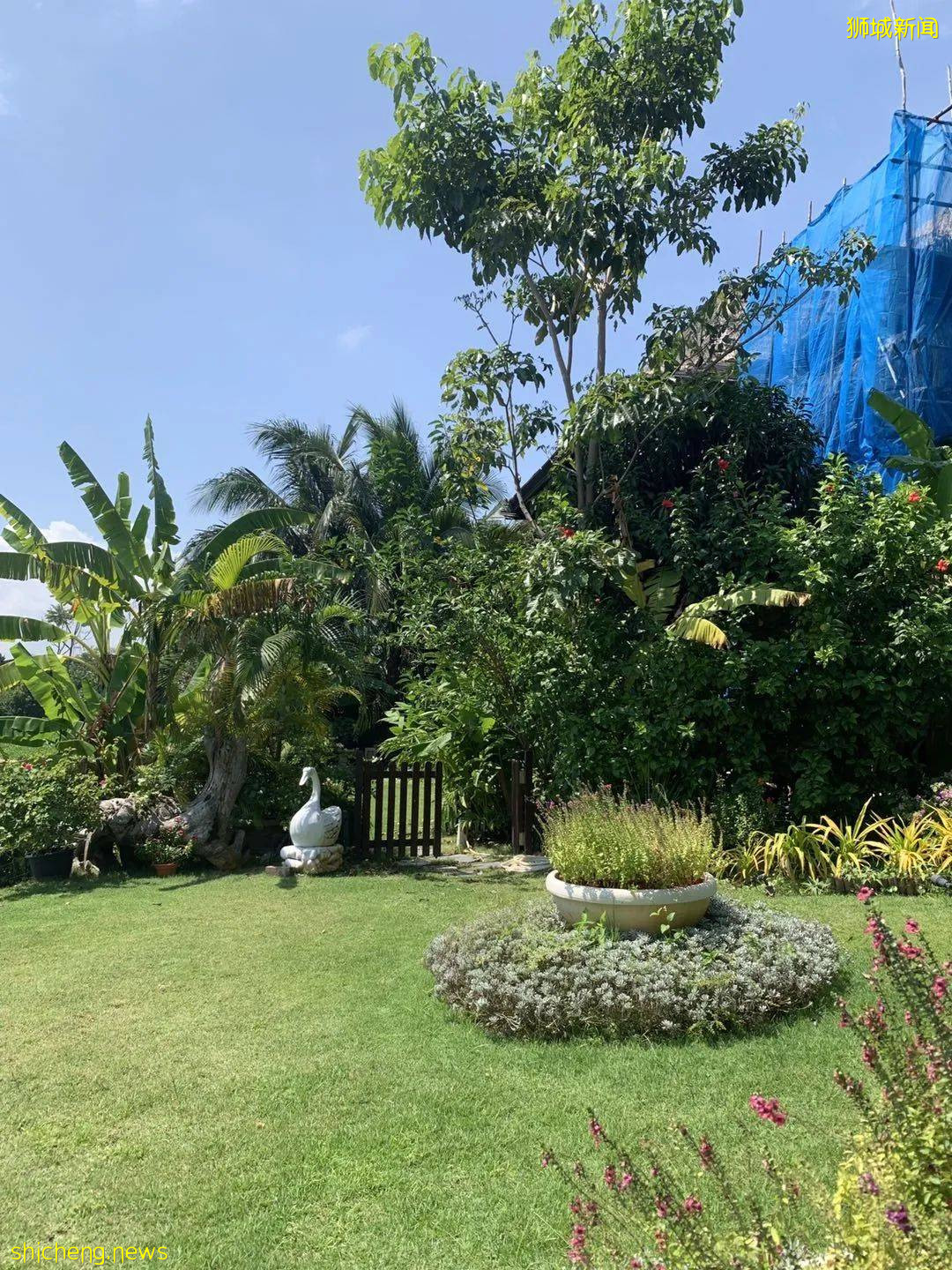 圣淘沙有4套房,还要占用公区!新加坡富豪的邻居不好做