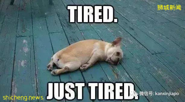 “全球最累城市”排名出炉，新加坡排前三