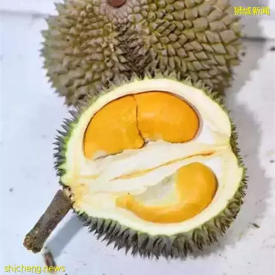 新加坡榴梿季来了啊啊啊!本地人吃榴梿秘籍,这7家最便宜