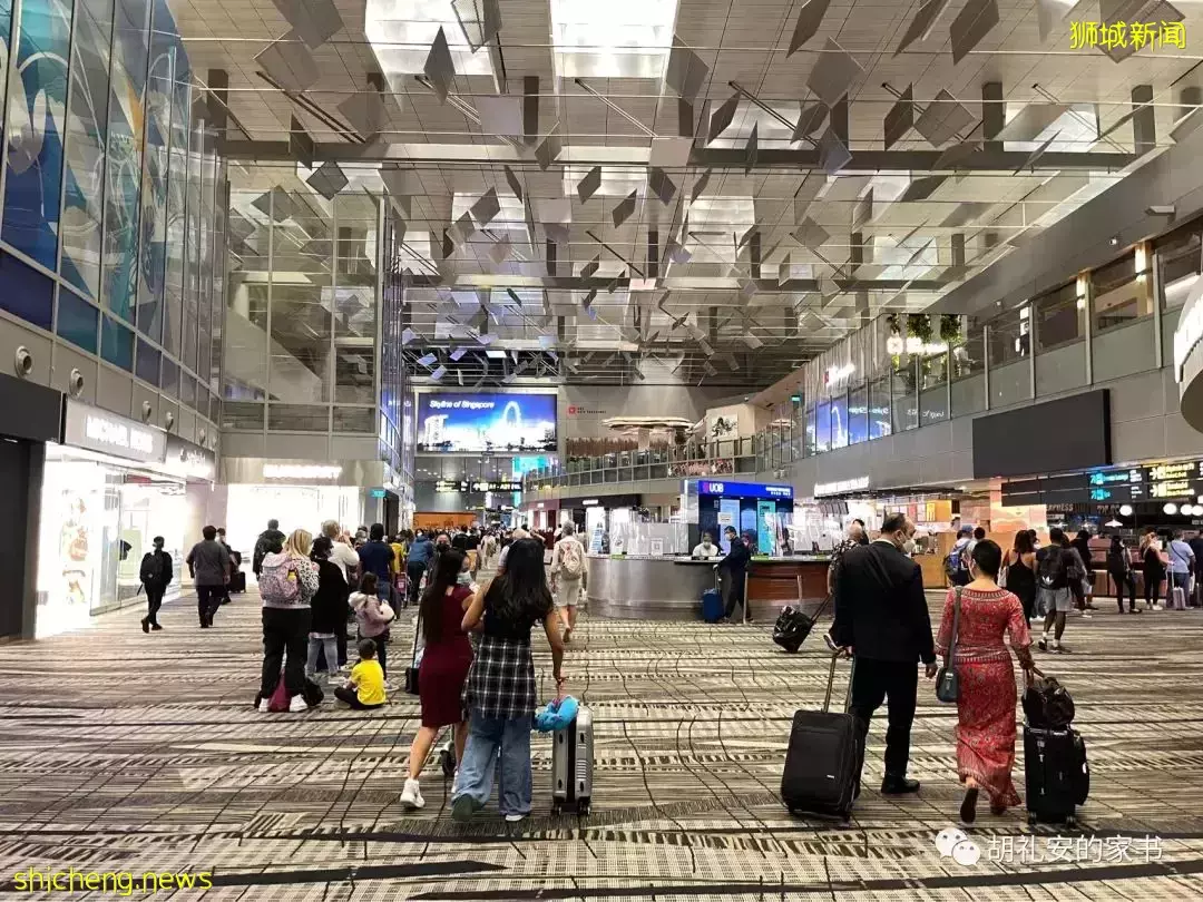 全過程記錄!4月4日從新加坡飛往封城中的上海,入境隔離多圖