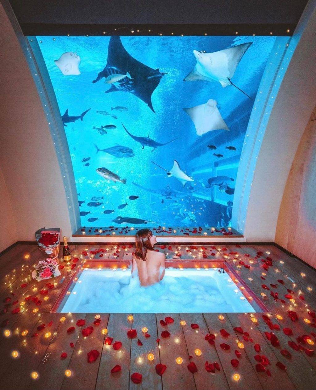 整个泳池都是你的😍 新加坡5大度假酒店,每间都有专属私人泳池🏊♀️ 打开门就能跳下水