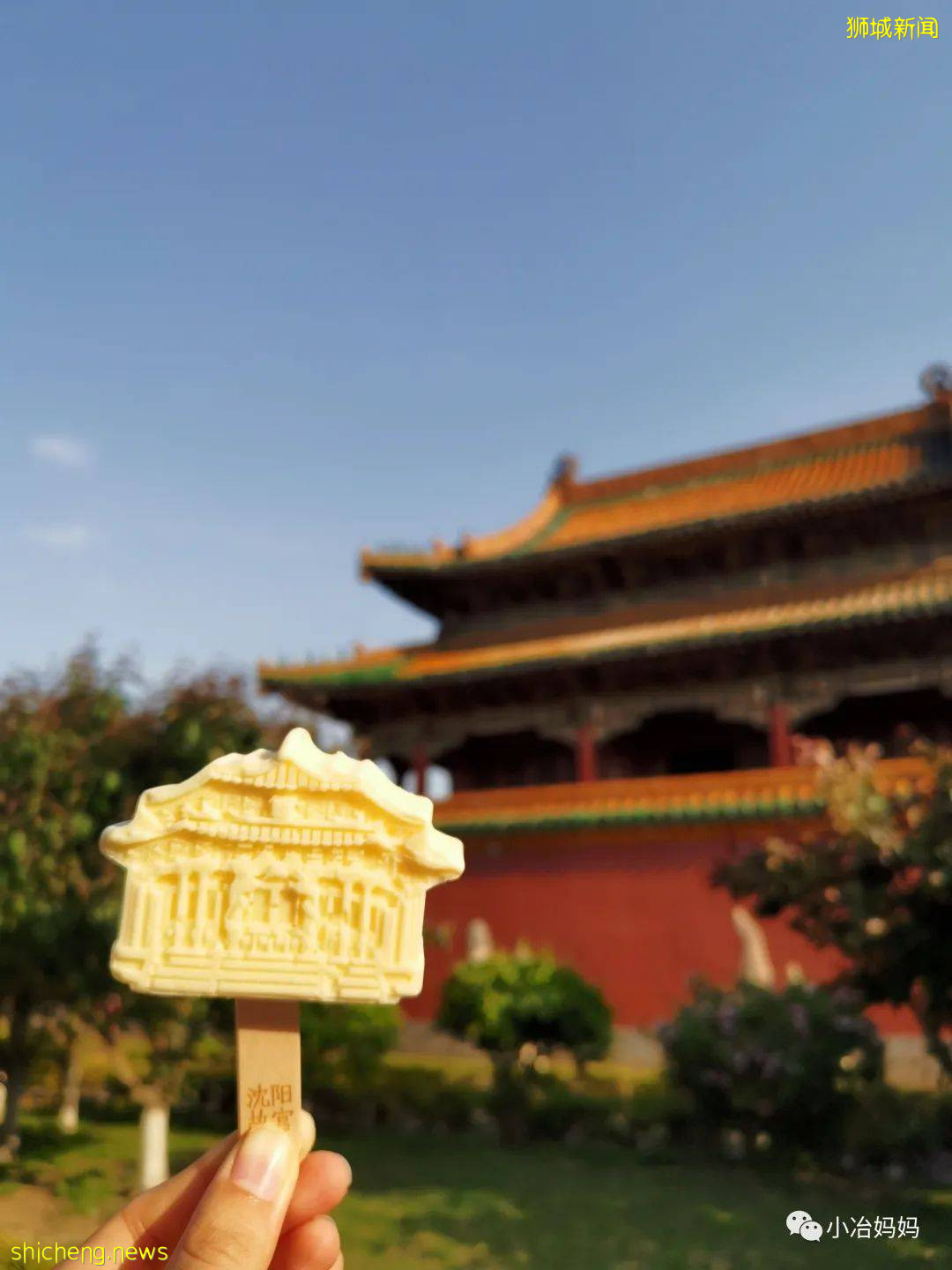 結束11年新加坡的生活!我懷孕帶著5歲的娃回了中國又移民澳洲!這瘋狂又神奇的旅程