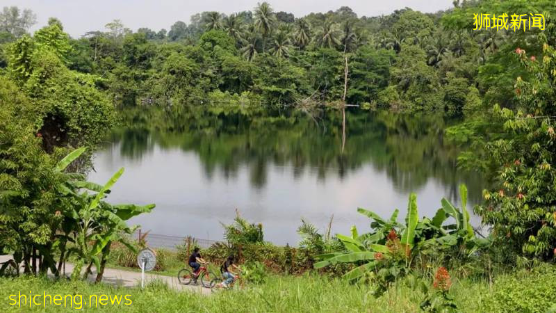 帶孩子去新加坡旅遊,哪些地方值得一去呢!