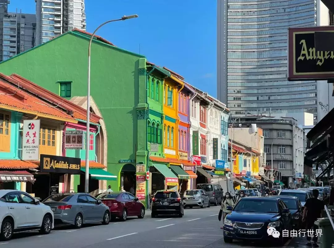 新加坡居然也有皇宫? 多元新加坡之甘榜格南