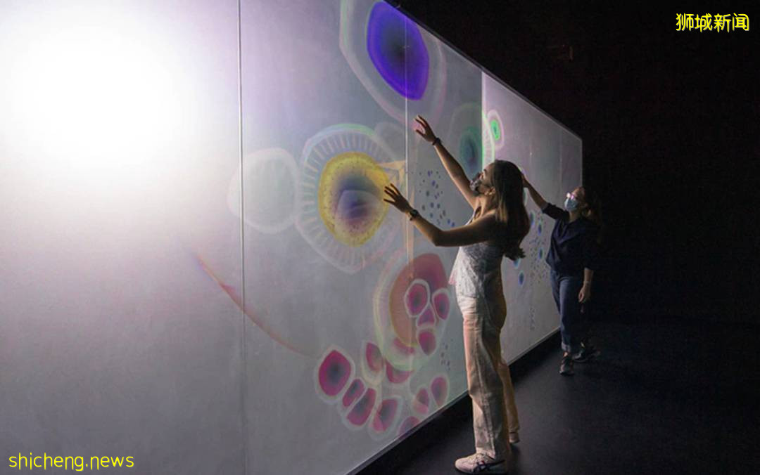 新加坡七/八月看展指南!周末假期好去处