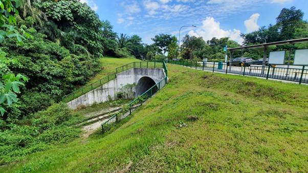 隐藏多年在金文泰的仙境,竟是新加坡面积第二大次森林