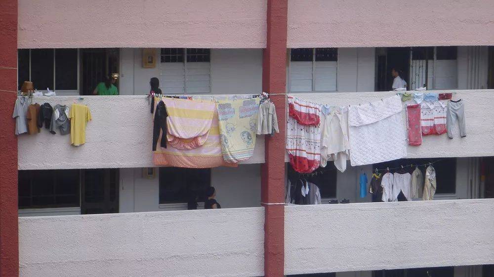 快過年了，竟有人在新加坡組屋走廊開“養雞場”，30只好熱鬧