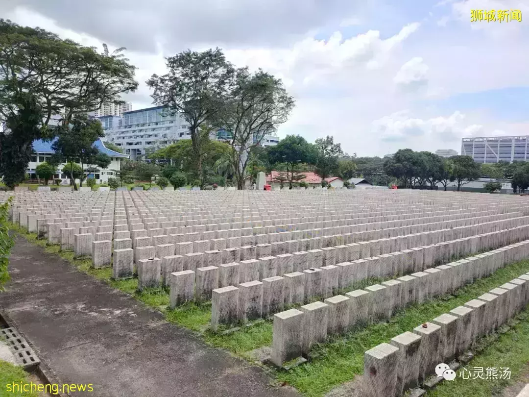 實地探訪，新加坡最嚇人的組屋，到底有什麽玄妙