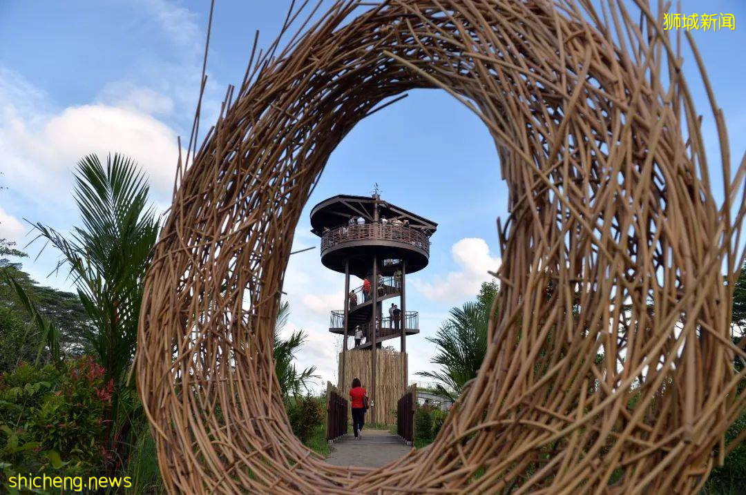 周末帶娃去徒步!10米高木塔、農場、木棧道,湖天一色好美