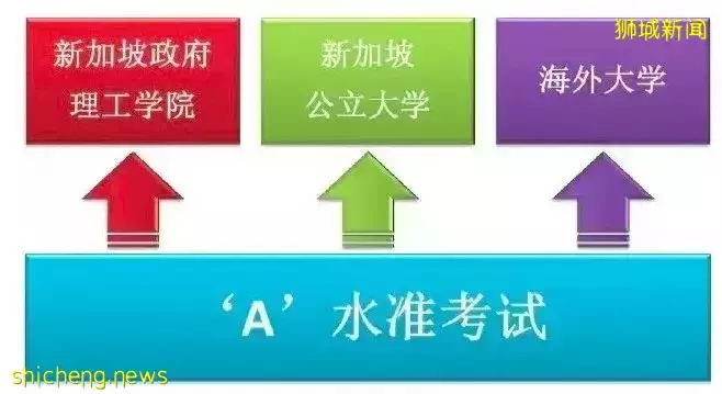 中考后留学新加坡读哪些课程，MDIS 预科学院给你答案