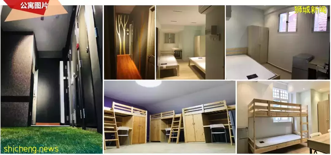 新加坡 SMU大学周边优质公寓