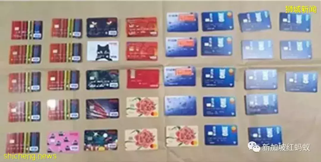 涉嫌詐騙銀行客戶的13人都年紀輕輕 估計背後“大Boss”仍未現身