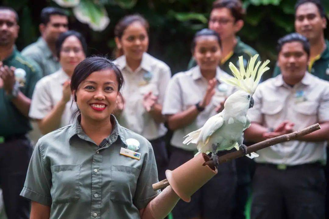 裕廊飞禽公园50周年,整个1月将以1971年时的门票价格收费,仅需两块半