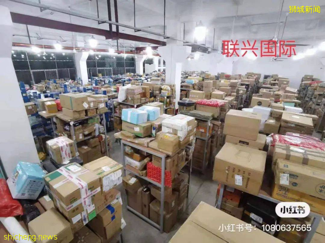 618必备!中国到新加坡海运物流,惊爆只要¥320每立方