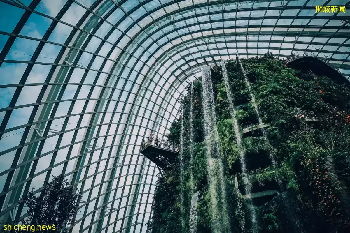 新加坡和香港的家族辦公室之爭:新加坡爲何成爲富豪“新寵”