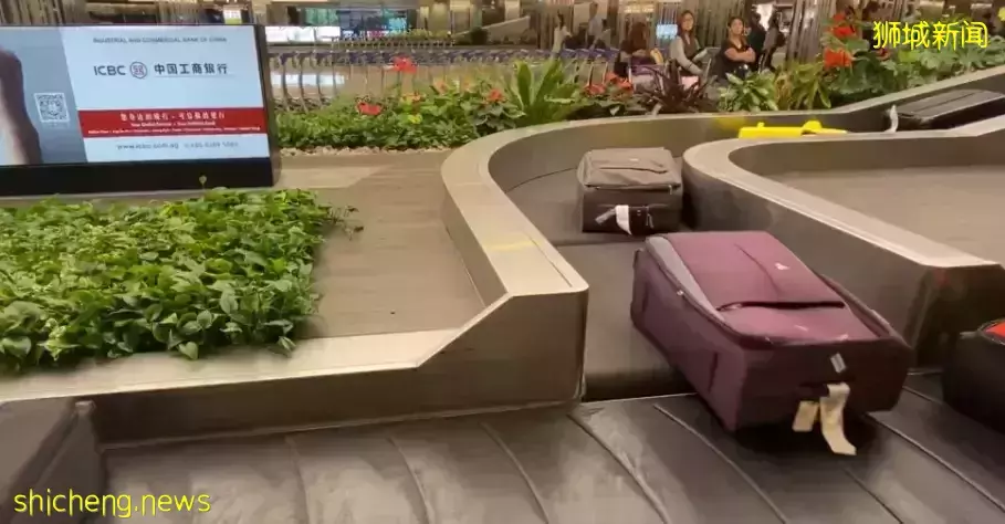 几十张图带你了解别样的新加坡